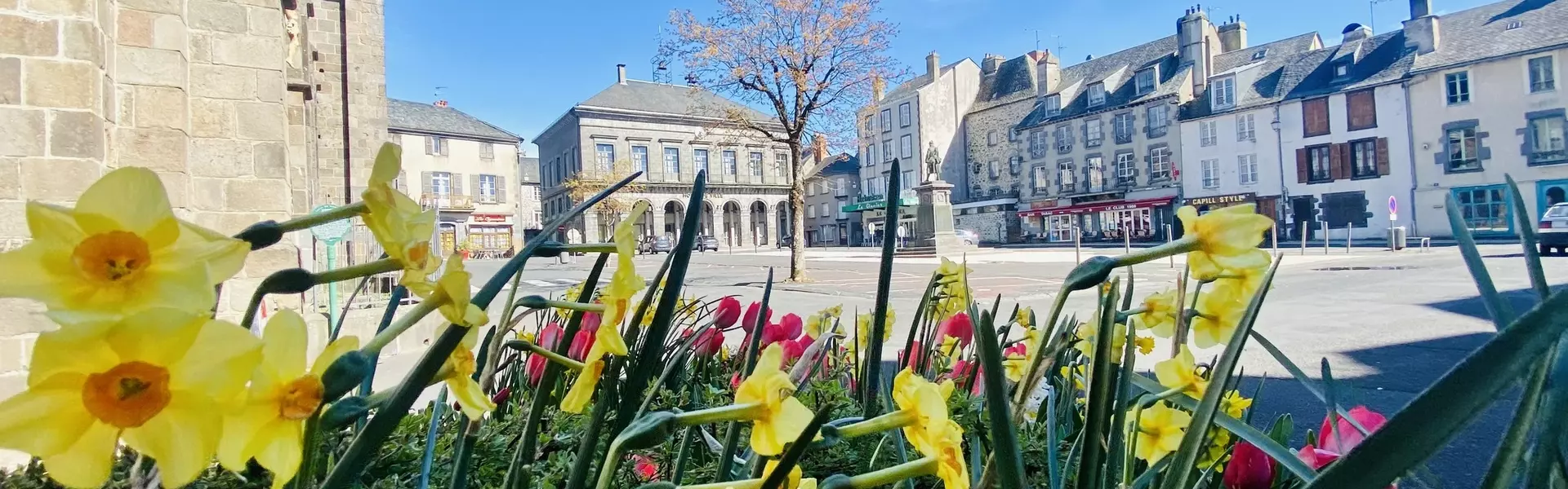 Les Elus du Conseil Municipal de Mauriac